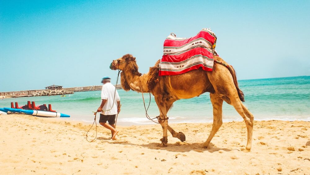 Beaches in Morocco